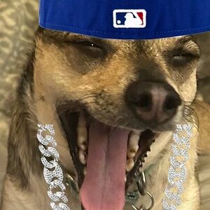 Meet your Posher, King